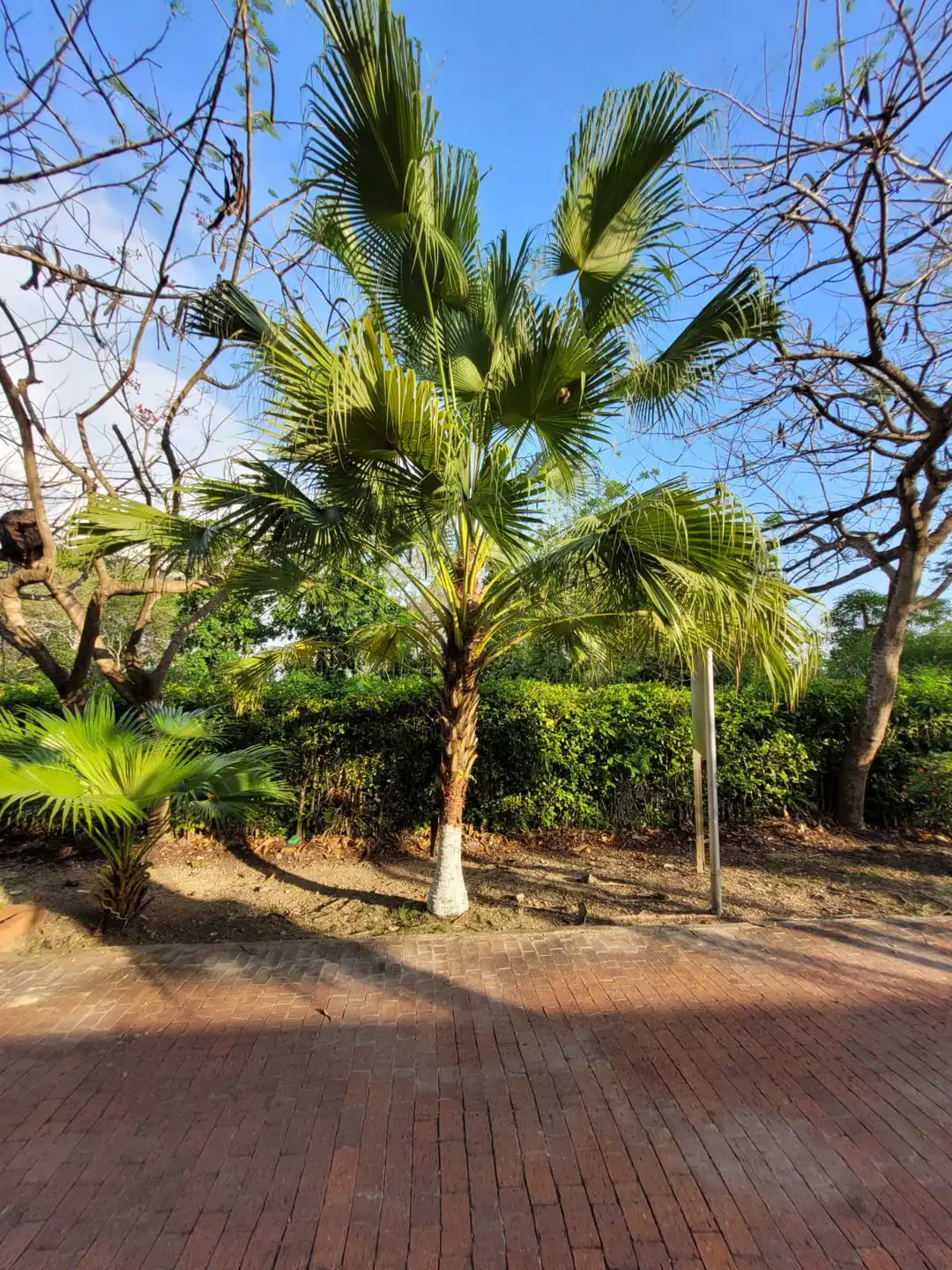 Imagenes de la copropiedad hacienda condominio zonas comunes
