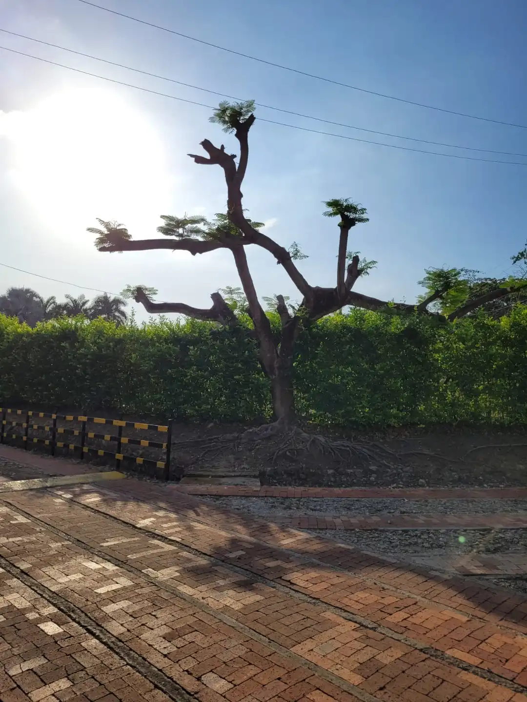 Imagenes de la copropiedad hacienda condominio zonas comunes
