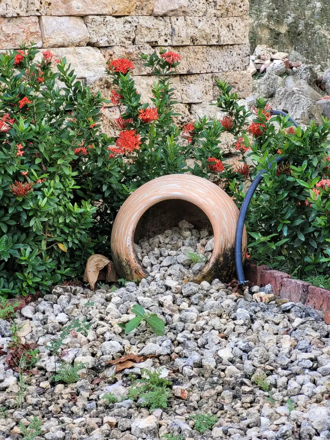 Imagenes de la copropiedad hacienda condominio zonas comunes